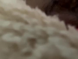 Screenshot from gronesexcol_ webcams