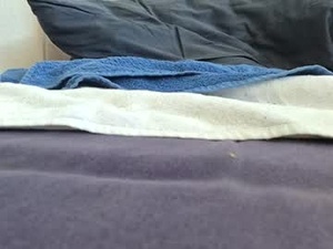 Screenshot from guggeryannick webcams