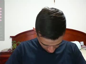 Screenshot from hairyeffect webcams