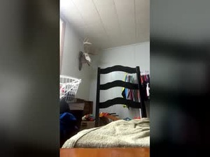 Screenshot from halfoftwelve webcams