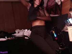 Screenshot from happysoft webcams