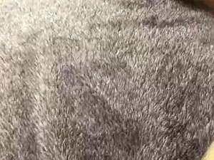 Screenshot from hardnbed webcams