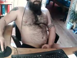 Screenshot from harleywerner webcams