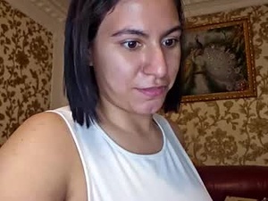 Screenshot from hassiebunger webcams