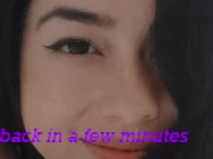 Screenshot from hawaiibliss webcams