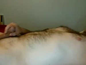 Screenshot from hazmat2026 webcams