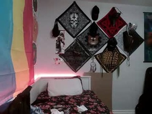 Screenshot from hidden5s webcams