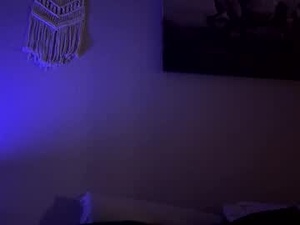 Screenshot from hiscommandherstage webcams