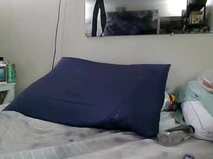 Screenshot from hngnrough webcams