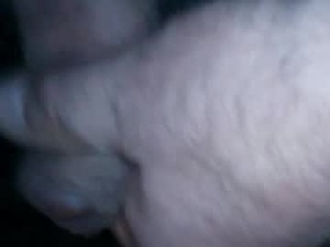 Screenshot from hofnung webcams