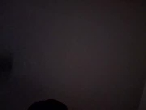 Screenshot from holifielddan webcams