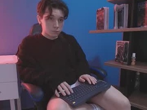 Screenshot from hollannd_ webcams