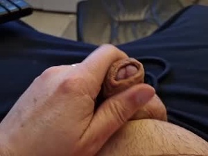 Screenshot from homerjs1 webcams