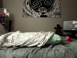 Screenshot from hooksetloo webcams