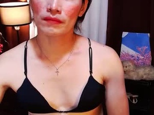 Screenshot from hornykirujeitrans webcams