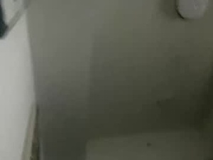 Screenshot from hughfat webcams