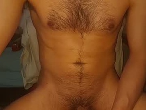 Screenshot from humanoide2 webcams