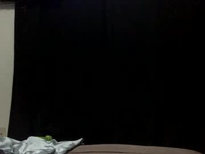 Screenshot from hxnsvergon webcams