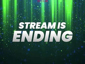 Screenshot from hybridhuman webcams