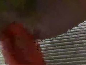 Screenshot from hydrobauer95549554 webcams