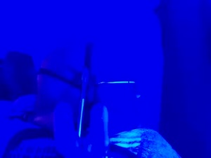 Screenshot from iandromedia webcams