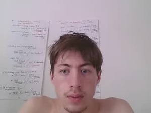 Screenshot from iceragotti webcams
