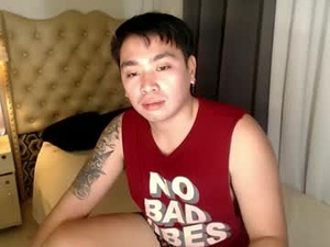 Screenshot from iconic_vince webcams
