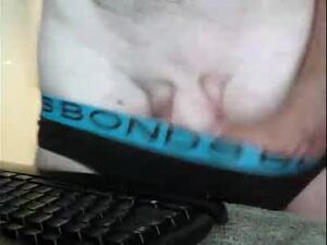 Screenshot from imaussiechris webcams