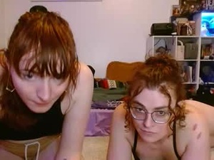 Screenshot from infinityelks webcams