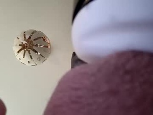 Screenshot from inyourface46 webcams