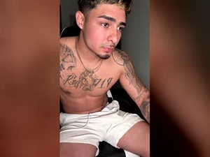 Screenshot from ipapi21 webcams