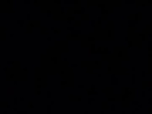 Screenshot from iridisit webcams