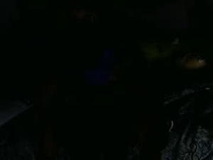 Screenshot from iriscarter webcams