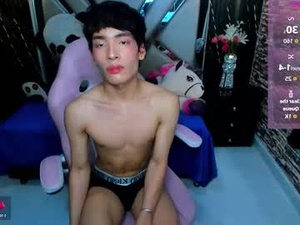 Screenshot from isaacnova webcams