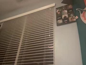 Screenshot from isaiahduckett webcams