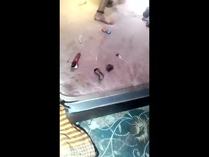 Screenshot from isaldatrans webcams