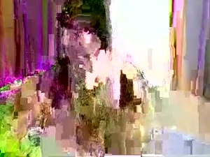 Screenshot from its_me_lars webcams