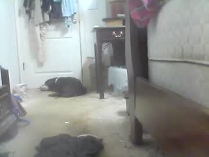Screenshot from jaburgett1979 webcams