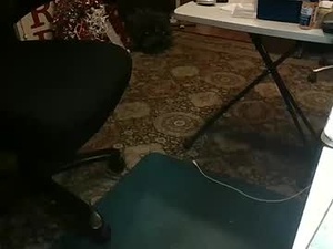 Screenshot from jacktoome383324 webcams