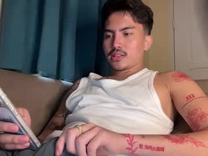 Screenshot from jacobthebezt webcams