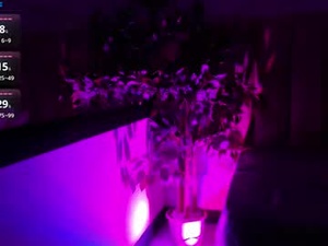 Screenshot from jadeblazeh webcams