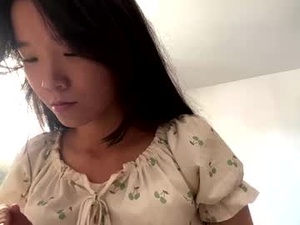 Screenshot from janenehaning webcams