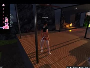 Screenshot from janlxt2 webcams