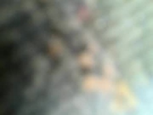 Screenshot from jano7477 webcams