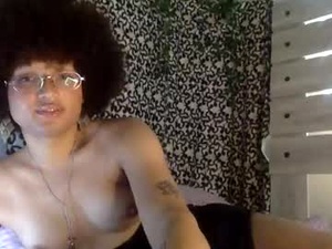 Screenshot from janusfilms webcams