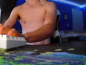 Screenshot from jaydicksys webcams