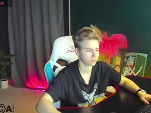 Screenshot from jean_wilsons webcams