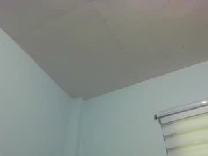 Screenshot from jeffpillora webcams