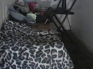 Screenshot from jeffsbabydick webcams
