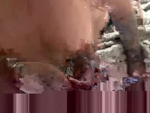 Screenshot from jenandgon webcams